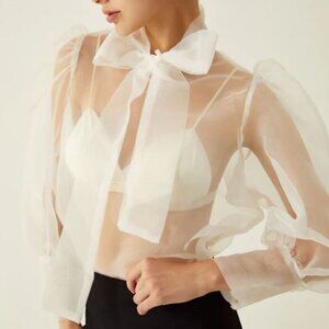 Long Sleeve Sheer Shirt